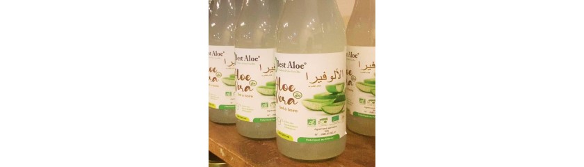 L'Aloé Vera à boire peut-être un allié précieux pour maintenir notre bien-être général surtout pendant Ramadan