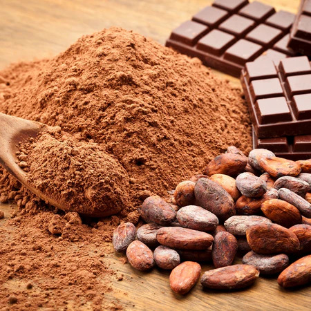 Cacao bio – 100 g Cacao bio – 100 g
