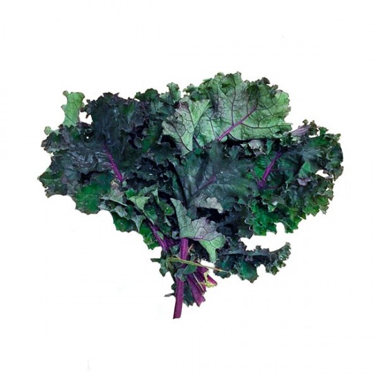 Chou Kale 1 botte