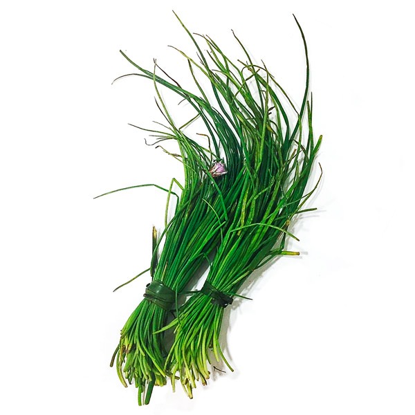 Organic Chives – 1 bunch Organic Chives – 1 bunch