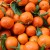 Demeter Organic Clementines – 1 kg