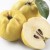 Beldi Quinces from Taza 1 Kg – Fresh Terroir Fruit