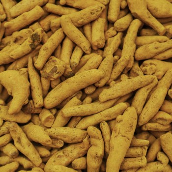 Curcuma frais bio – 100 g Curcuma frais bio – 100 g