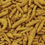 Curcuma frais bio – 100 g