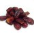 Dattes Boufkhous – 1 kg