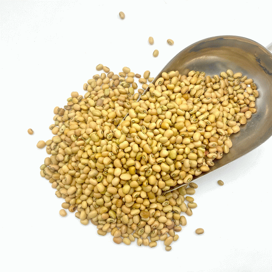 Fouls Gnawa 0,5 Kg 