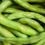Fèves Beldi bio – 1 kg