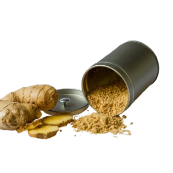Gingembre en poudre bio – 55 g Gingembre en poudre bio – 55 g
