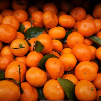 Mandarines Beldi bio – 1 kg Mandarines Beldi bio – 1 kg