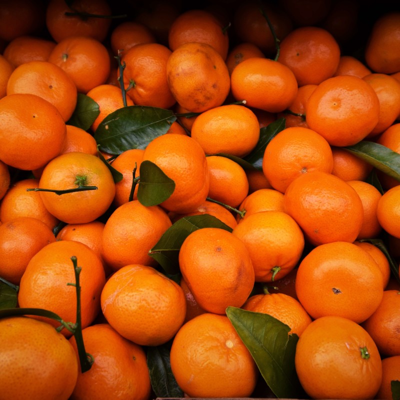 Mandarines Beldi bio – 1 kg Mandarines Beldi bio – 1 kg