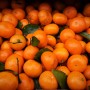 Mandarines Beldi bio – 1 kg