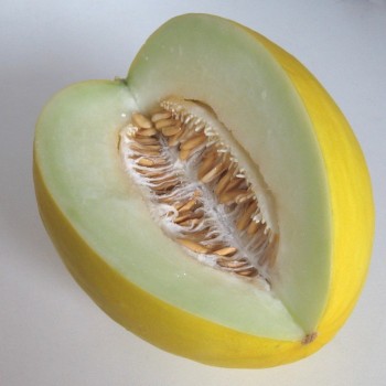 Melon certifié de la ferme biodynamique de Taroudant – 1 kg Melon certifié de la ferme biodynamique de Taroudant – 1 kg
