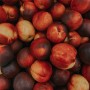 Nectarines bio – 1 kg