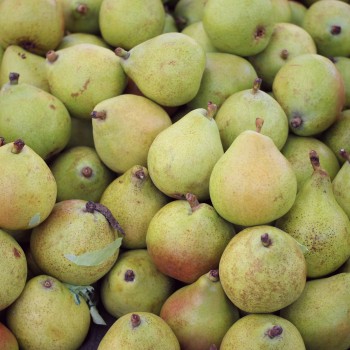 Organic Moroccan Pears – 1 kg Organic Moroccan Pears – 1 kg