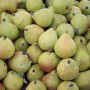 Organic Moroccan Pears – 1 kg