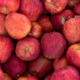 Pommes rouges beldi 1 Kg – Vergers de montagne du Maroc