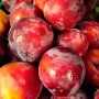 Prunes rouges Beldi bio – 1 kg