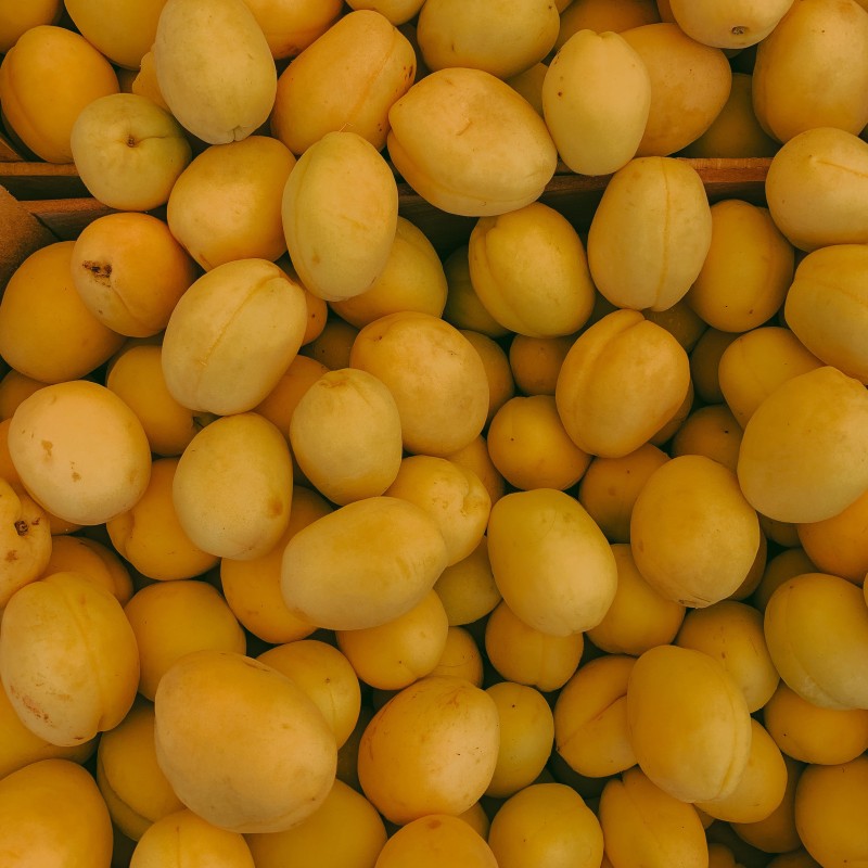 Prunes jaunes Beldi bio – 1 kg Prunes jaunes Beldi bio – 1 kg