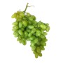 Raisin blanc beldi 1 Kg – Petits producteurs de Taza