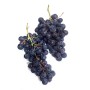 Raisin noir Beldi bio – 1 kg