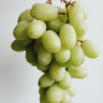 Raisin blanc beldi 1 Kg – Petits producteurs de Taza Raisin blanc beldi 1 Kg – Petits producteurs de Taza