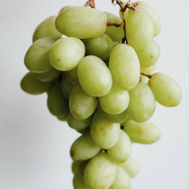 Raisin blanc beldi 1 Kg – Petits producteurs de Taza Raisin blanc beldi 1 Kg – Petits producteurs de Taza