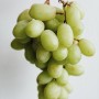 Raisin blanc beldi 1 Kg – Petits producteurs de Taza