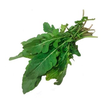 Roquette bio fraîche – 1 botte