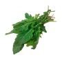 Fresh organic arugula – 1 bunch