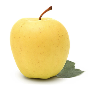 Yellow Beldi Apples 1 Kg – Moroccan Mountain Orchards Yellow Beldi Apples 1 Kg – Moroccan Mountain Orchards
