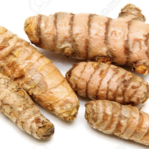 Curcuma frais bio – 100 g