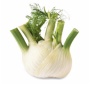 Fenouil bio 1 kg