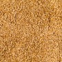 Sésame Beldi bio – 1 kg