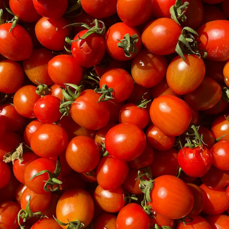 Tomates cerises bio – 1 kg Tomates cerises bio – 1 kg
