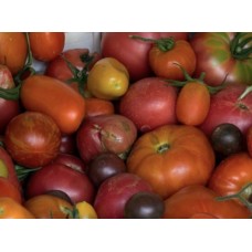 Tomates variétés anciennes 1Kg