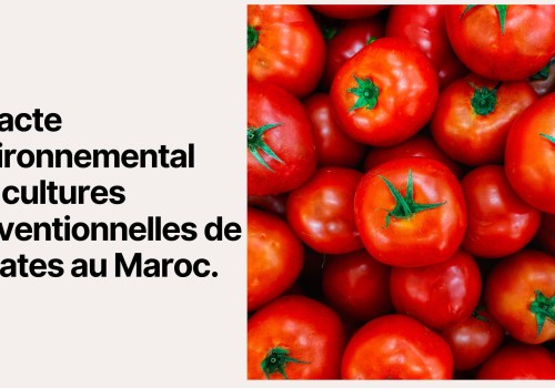 Impacte environnemental des cultures conventionnelles de tomates au Maroc