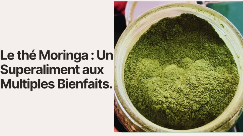 Le thé Moringa : Un Superaliment aux Multiples Bienfaits