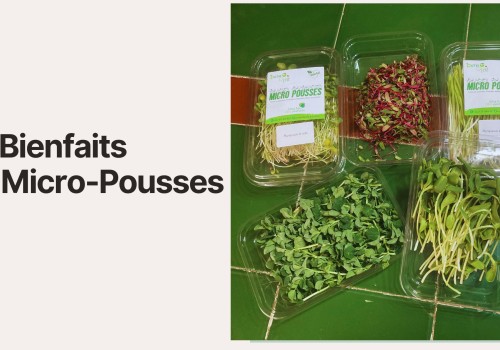 Les Bienfaits des Micro-Pousses : Le Super-Aliment que Vous Devez Connaître