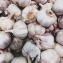 Ail beldi 1Kg