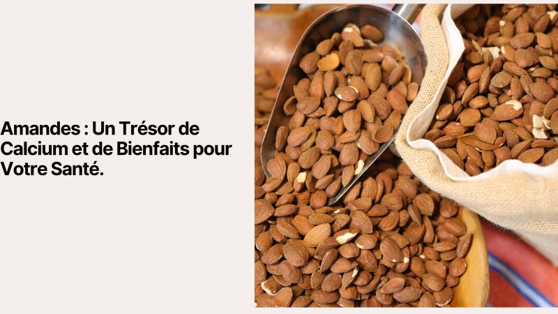 Amandes : Un Trésor de Calcium et de Bienfaits pour Votre Santé
