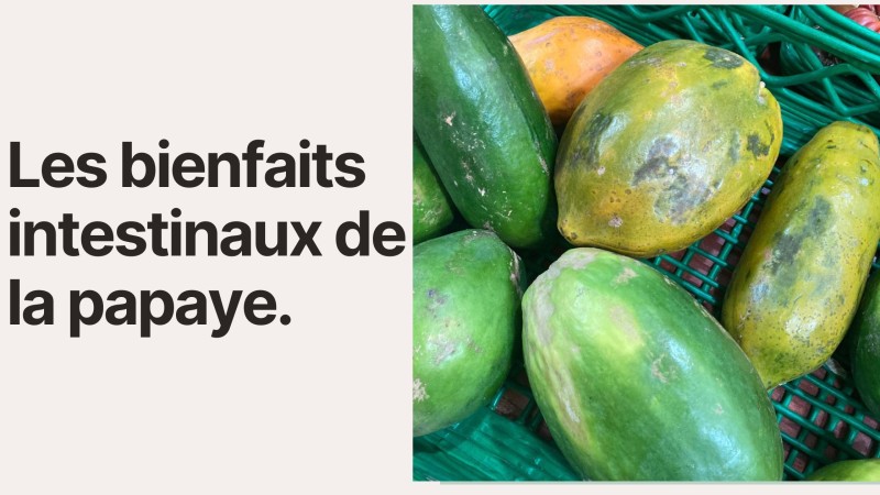 Les bienfaits intestinaux de la papaye