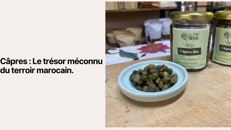 Capers: The Hidden Treasure of Moroccan Terroir
