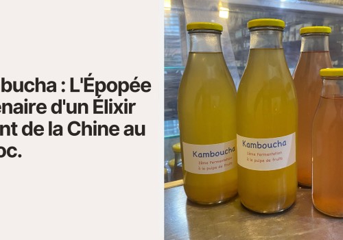 Kombucha : L'Épopée Millénaire d'un Élixir Vivant de la Chine au Maroc