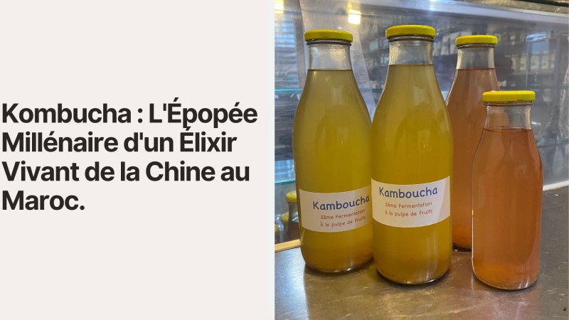 Kombucha : L'Épopée Millénaire d'un Élixir Vivant de la Chine au Maroc