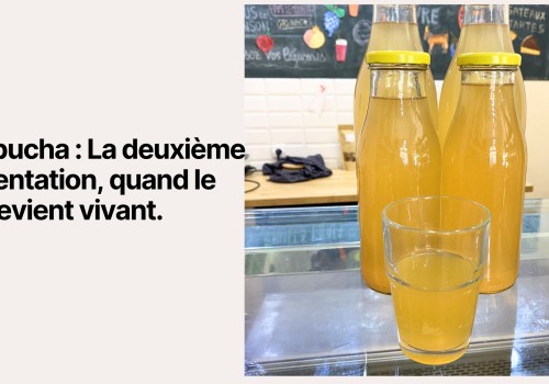 Kombucha : La deuxième fermentation, quand le thé devient vivant