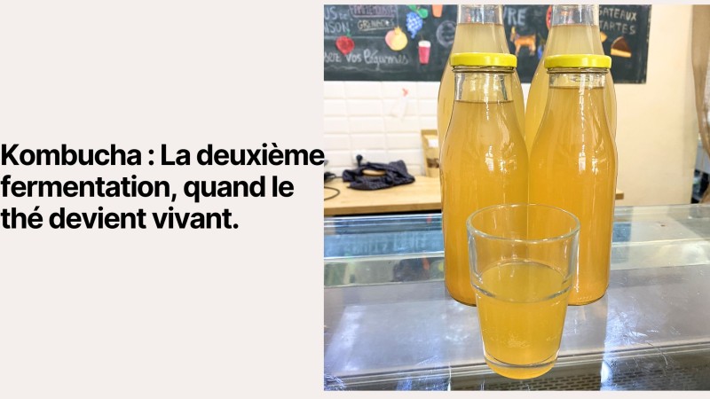 Kombucha : La Deuxième Fermentation Expliquée