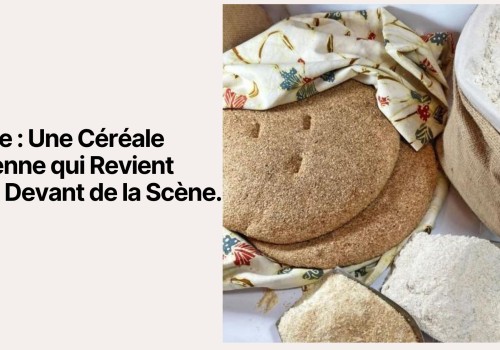 L'Orge : Une Céréale Ancienne qui Revient sur le Devant de la Scène