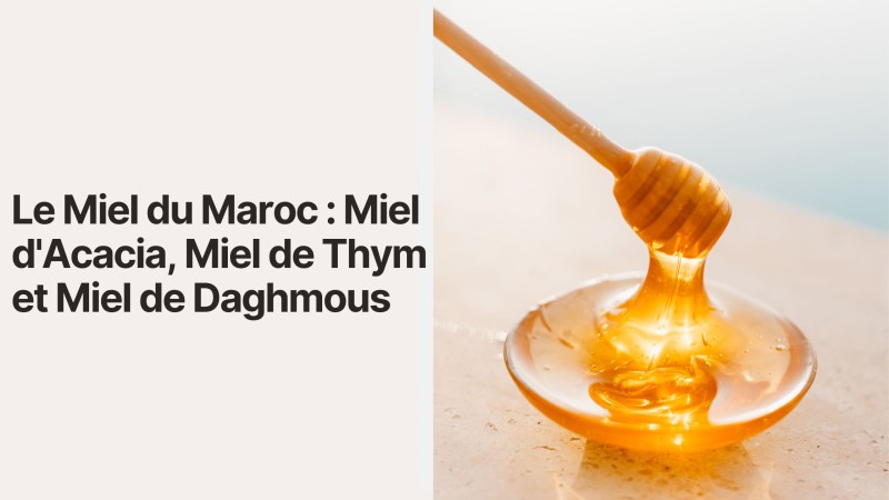 Le Miel du Maroc : Miel d'Acacia, Miel de Thym et Miel de Daghmous