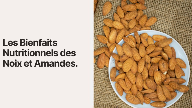 Les Bienfaits Nutritionnels des Noix et Amandes