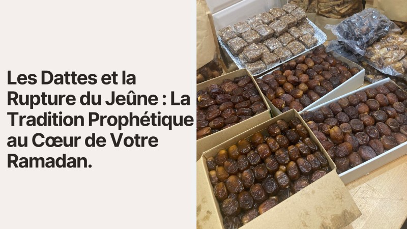 Les Dattes et la Rupture du Jeûne : La Tradition Prophétique au Cœur de Votre Ramadan